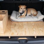 How to Fill the Back Seat Footwell for a Dog: Platforms, Boxes and DIY Fixes